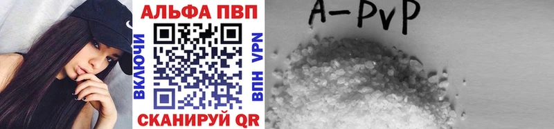 A-PVP СК  Гатчина 
