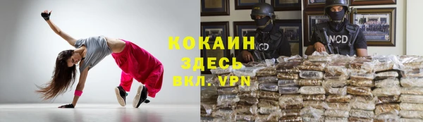 дурь Бородино