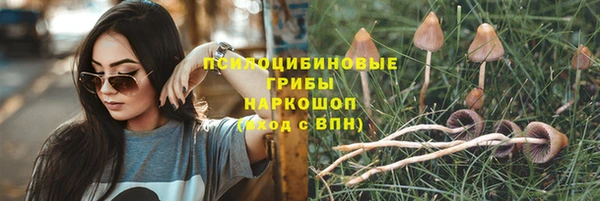 дурь Бородино