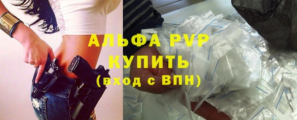 дурь Бородино