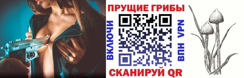 блэк спрут маркетплейс Гатчина Галлюциногенные грибы GOLDEN TEACHER